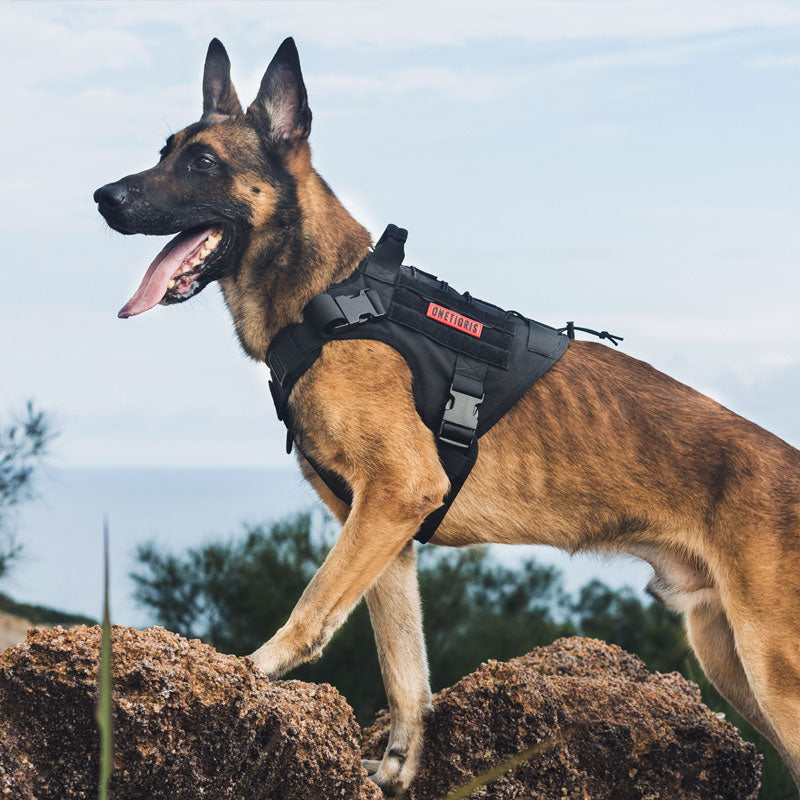 OneTigris Dog Harness Vest for Walking Hiking Hunting Tactical Military Water-Resistant MOLLE Training Harness for Service Dog