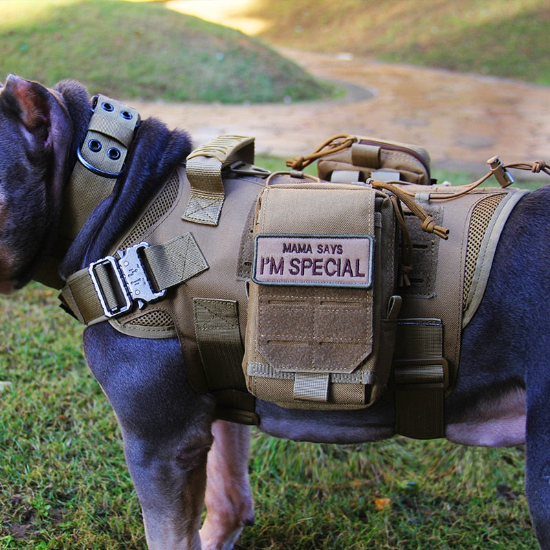 Tactical Dog Vest Military Hunting Shooting Cs Army Fan Service Nylon Pet Vests Airsoft Training Molle Dogs Harness